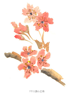 桜