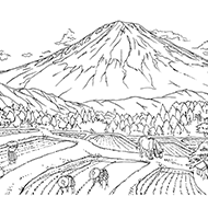 春の塗り絵素材一覧 大人の 塗り絵 教室 無料 My介護の広場