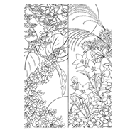 秋の塗り絵素材一覧 大人の 塗り絵 教室 無料 My介護の広場 秋の塗り絵素材一覧 大人の 塗り絵 教室 無料 My介護の広場