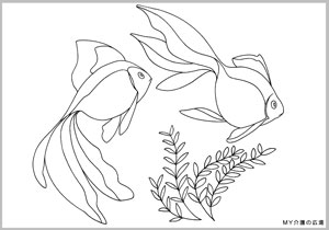 「金魚」の塗り絵