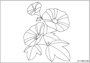 「アサガオ」の塗り絵
