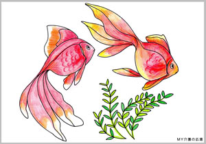 「金魚」の塗り絵の作品例