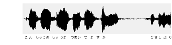 音声波形図
