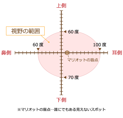 ゴールドマン　視野検査の値