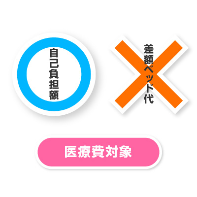 自己負担額は医療費対象、差額ベッド代などは医療対象外